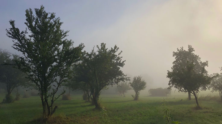 Oznam o plánovanej údržbe utorok, 10. júna 2025, medzi 8:30 až 15:30hod